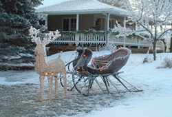 Sleigh and reindeer at the farm