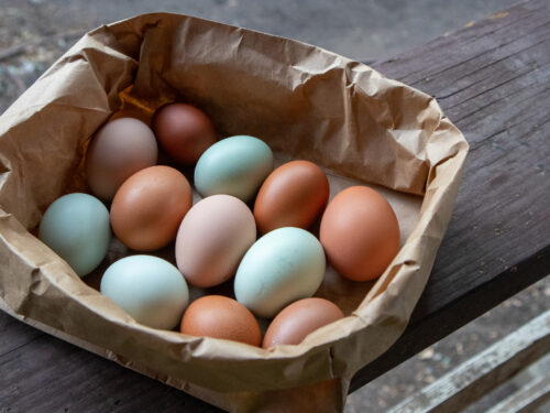 Pasture Raised Eggs